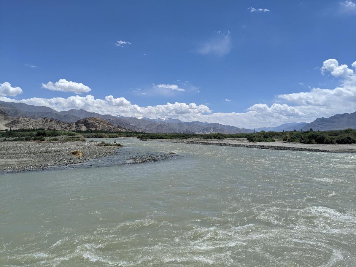 The Indus River Camp Leh Bagian luar foto