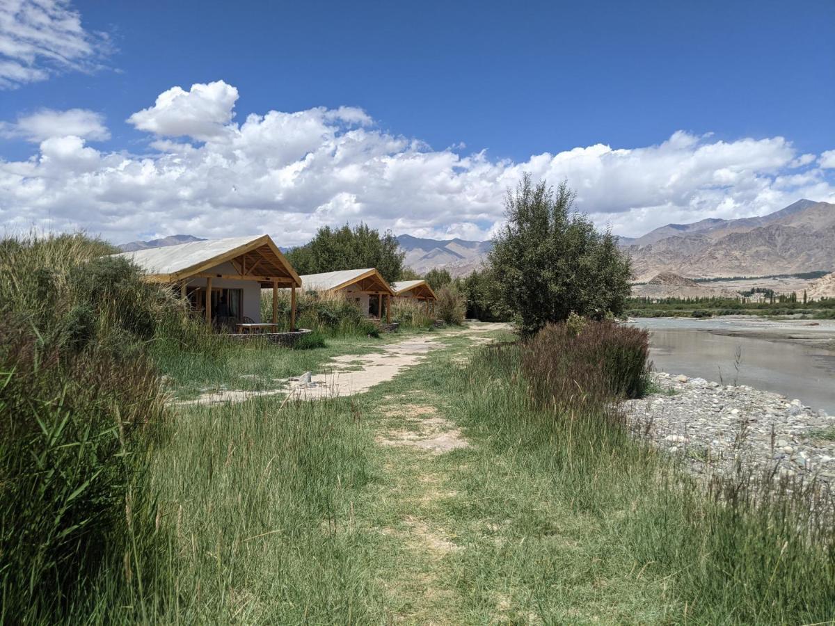 The Indus River Camp Leh Bagian luar foto