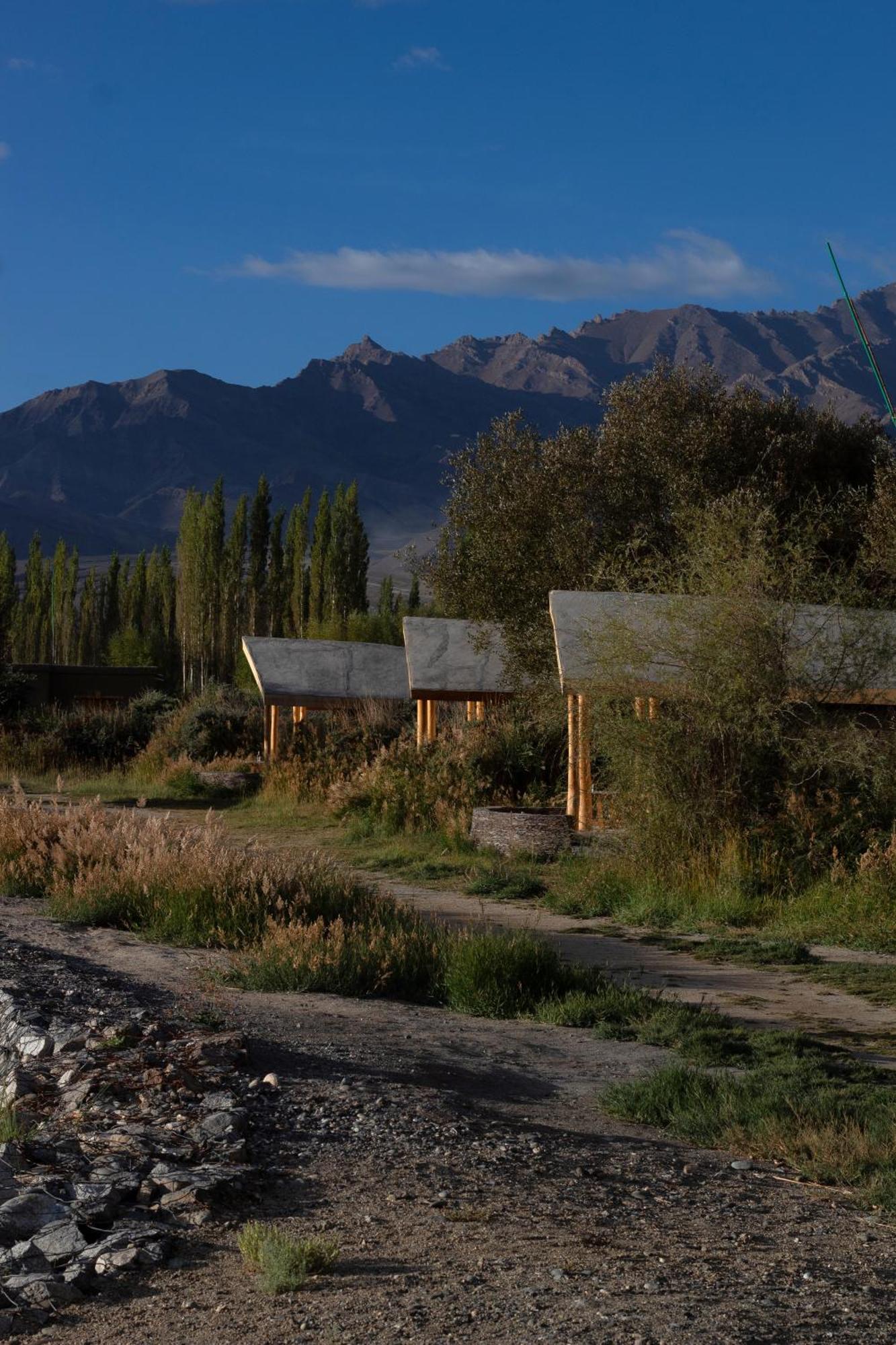The Indus River Camp Leh Bagian luar foto