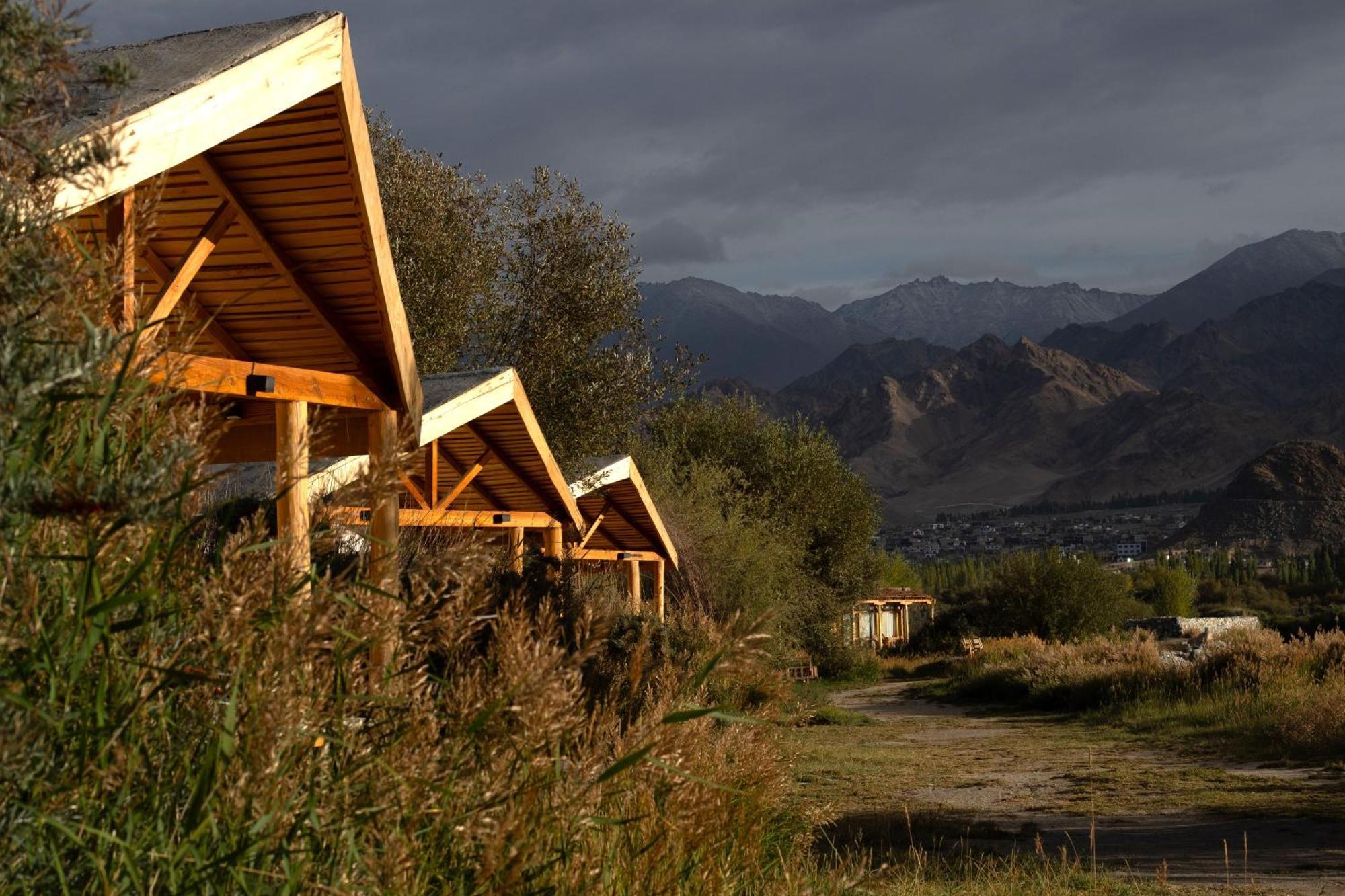 The Indus River Camp Leh Bagian luar foto