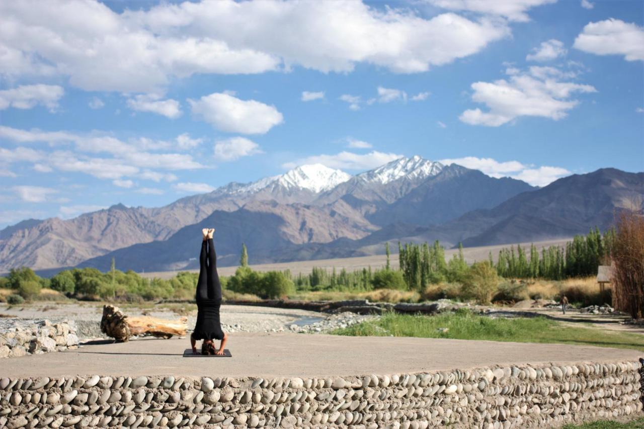 The Indus River Camp Leh Bagian luar foto