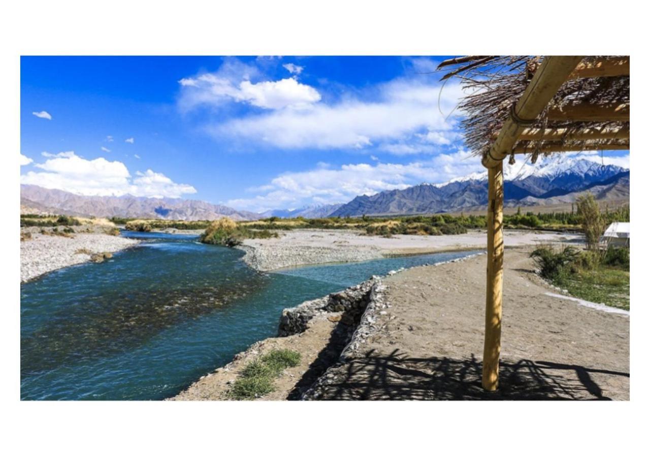 The Indus River Camp Leh Bagian luar foto