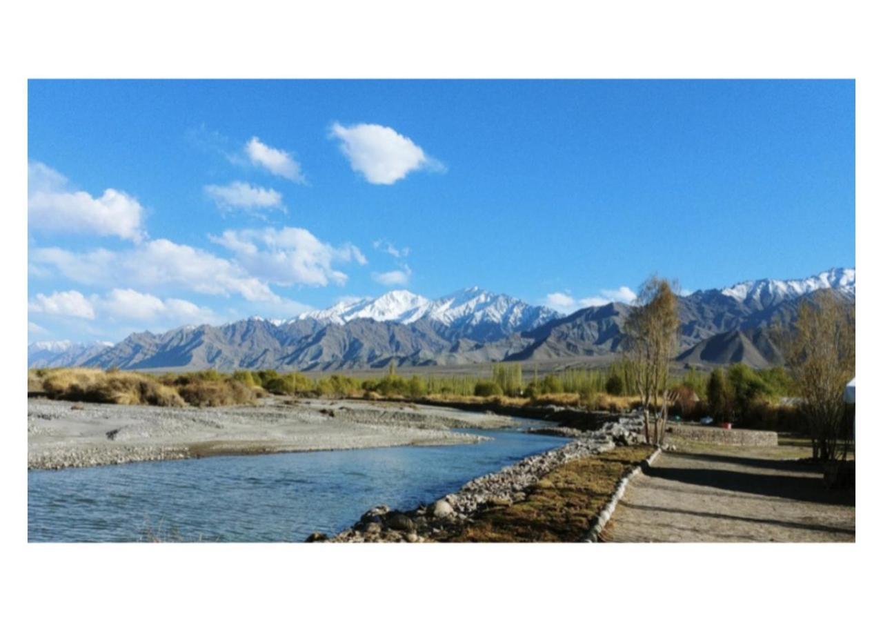 The Indus River Camp Leh Bagian luar foto