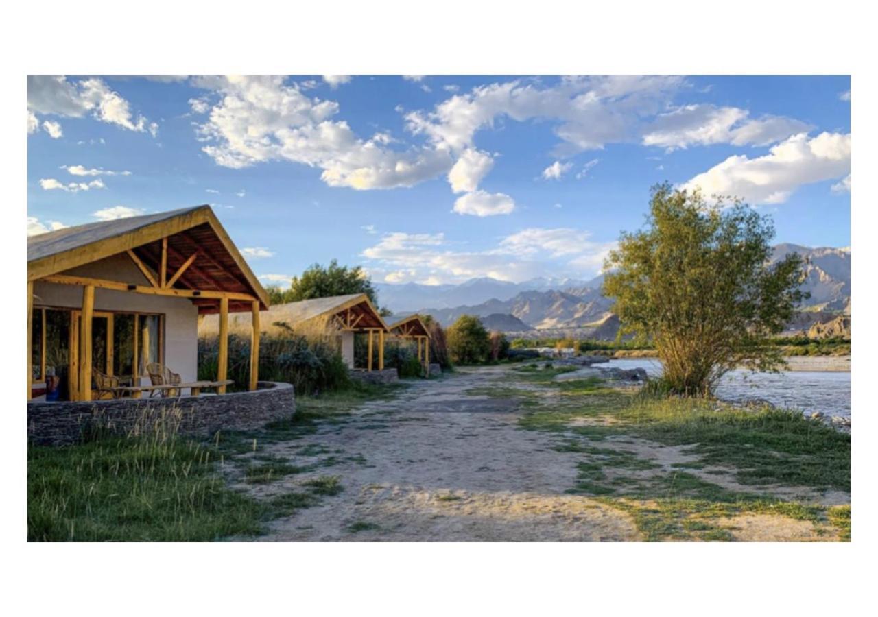 The Indus River Camp Leh Bagian luar foto